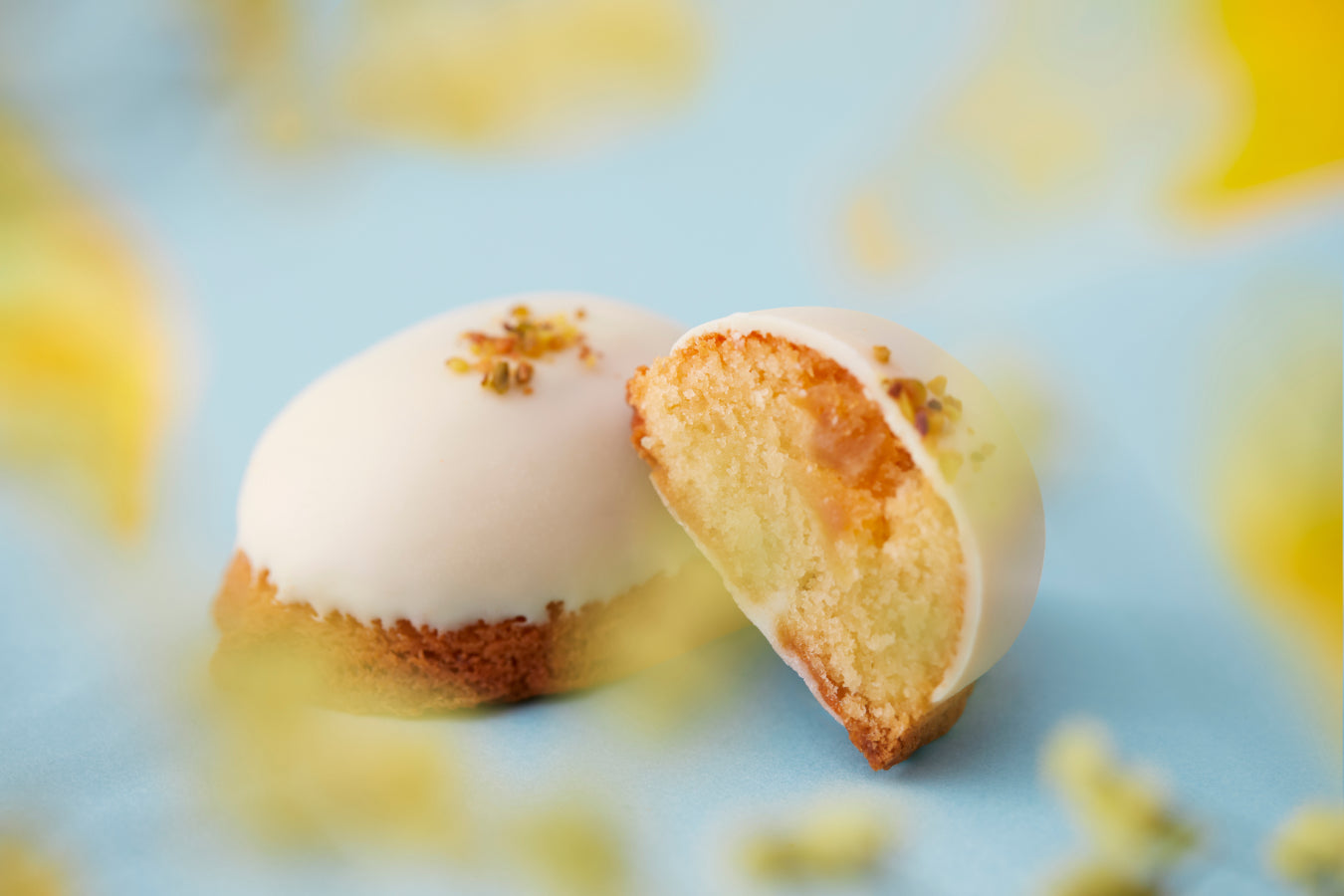 プレスリリース】DRESS MITA MASAKI LAB.の公式オンラインショップが